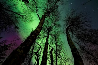 Polarlichter Beobachten