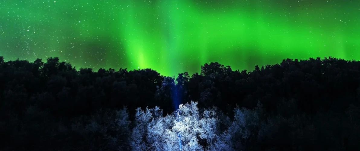 wald polarlichter deutschland